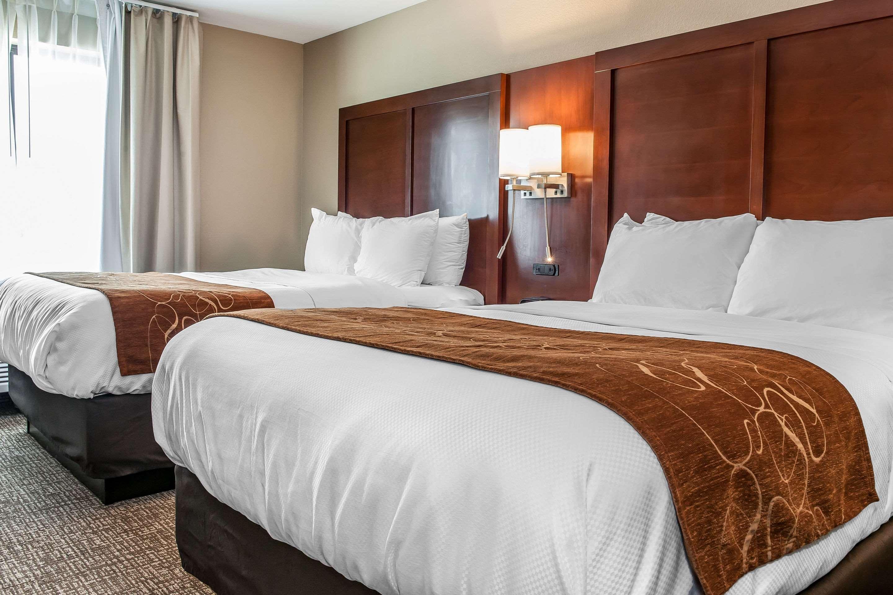 Comfort Suites Rensselaer Near Fair Oaks Exteriör bild