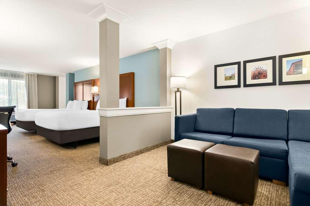 Comfort Suites Rensselaer Near Fair Oaks Rum bild